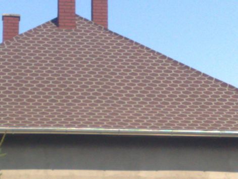 20090808283.jpg